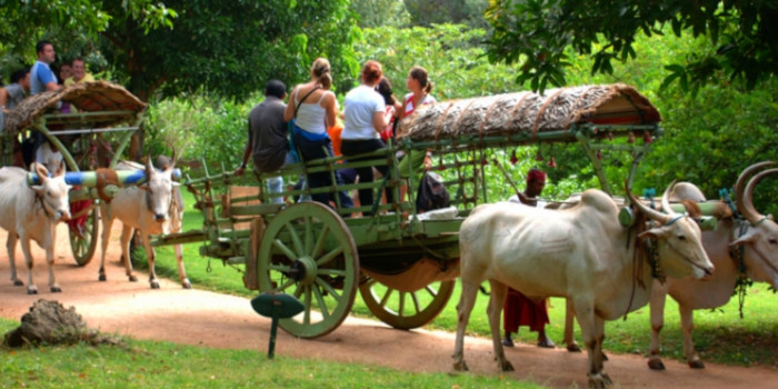 Sigiriya Village Tour