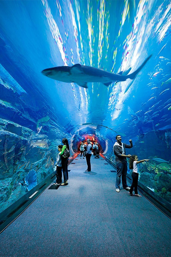 Dubai Aquarium And Underwater Zoo