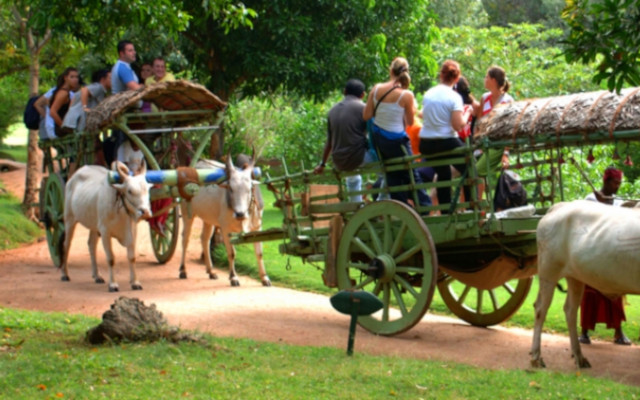 DAY 01 Airport-Sigiriya